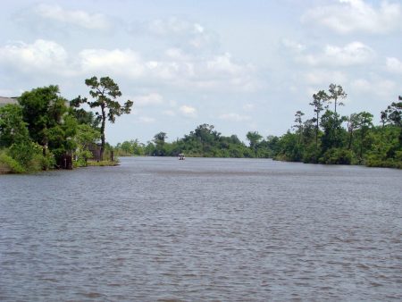 Adams Bayou
