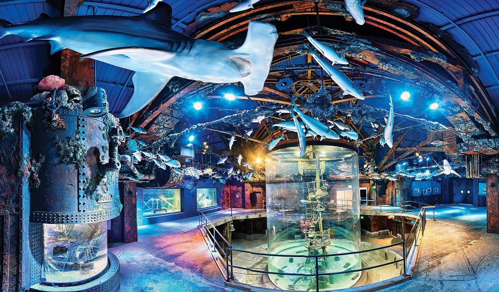Wonders of Wildlife Museum Opens Quimby's Cruising Guide